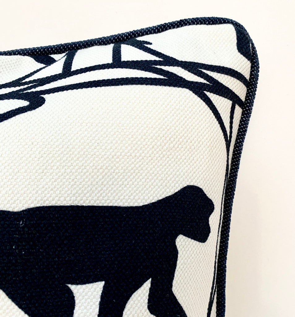 Polštář Darwin s paspulí